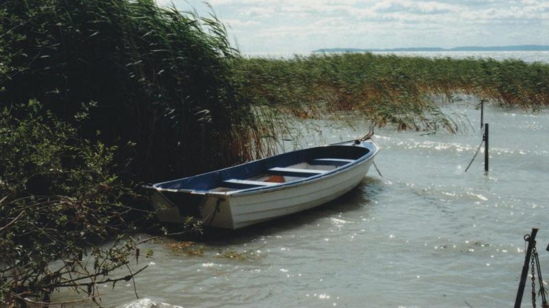 Ma ünnepeljük a tavak világnapját! Ne feledjük, hogy Balatonunk védelme a mi felelősségünk, és mindannyiunk dolga, hogy megőrizzük ezt a csodás vízfelületet a jövő generációi számára. Vigyázzunk rá szeretettel és gondossággal!