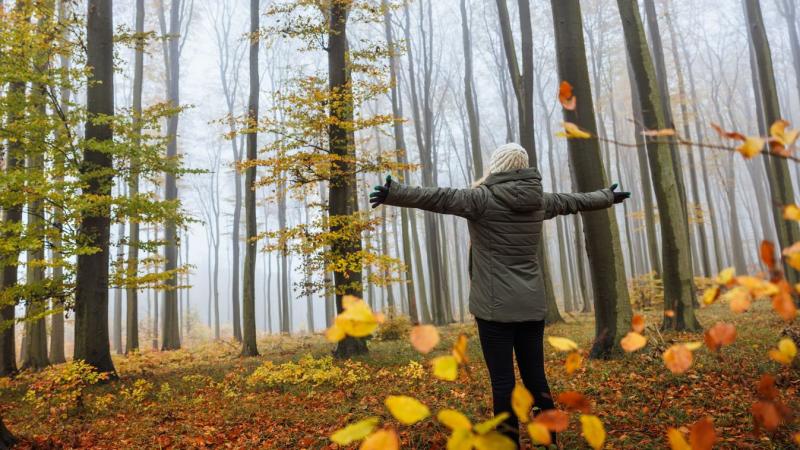 Szegeden ködös hajnalra ébredtünk – vajon a nap később derűs fényben ragyog majd?