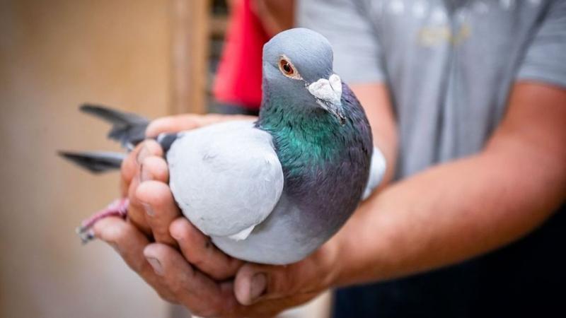 Mostantól nincs szükség engedélyre a rendőrségtől ahhoz, hogy repülőgépek a levegőbe emelkedhessenek.