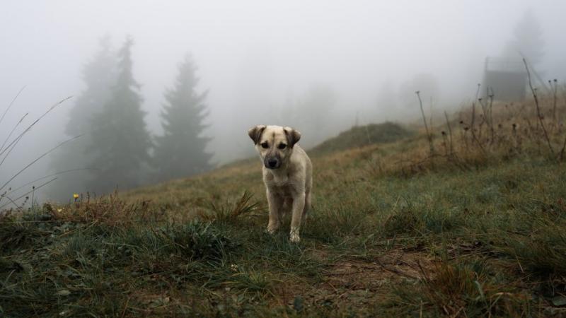 Kedden akár 14 fokot is elérhet a hőmérséklet, bár egyes helyeken továbbra is borongós maradhat az időjárás.