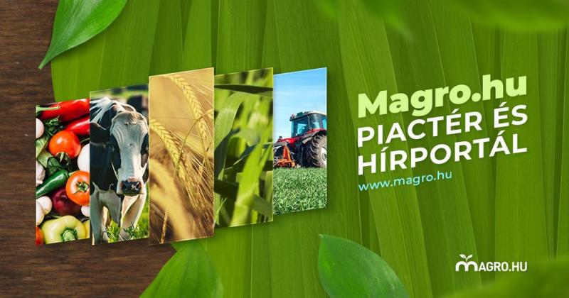 Magro.hu - egyedülálló piactér és információs központ a mezőgazdaság világában. Itt a gazdák és a termelők találkoznak, hogy megosszák tapasztalataikat, valamint vásároljanak és értékesítsenek különböző mezőgazdasági termékeket. Emellett a portál hírportá