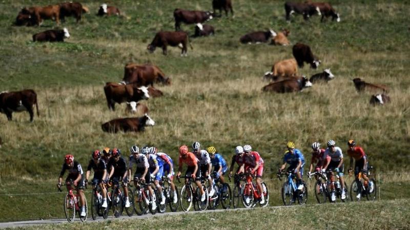 A Tour de France egyik szakaszának váratlan lerövidítése mögött egy meglepő ok állt. Az esemény nem csupán a versenyzők teljesítményére, hanem a környezeti tényezőkre is figyelmet fordított. A verseny szervezői úgy döntöttek, hogy a biztonság érdekében mó