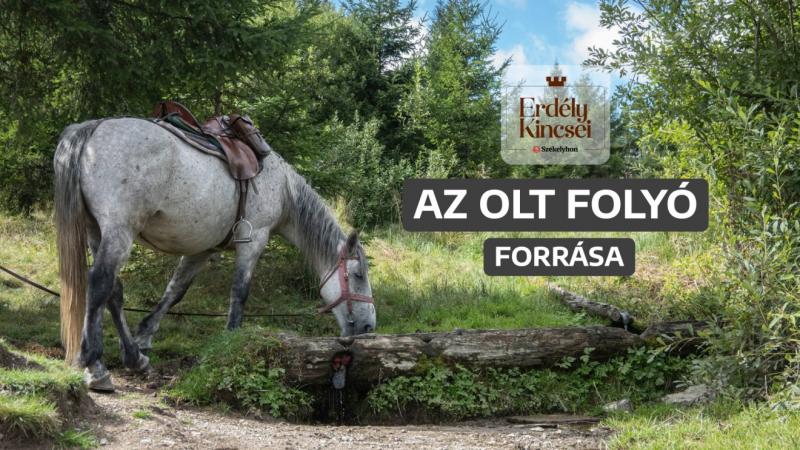 Honnan származik az Olt folyó? | Erdély csodái | Székelyföld kincsei

Az Olt folyó nem csupán vízfolyás, hanem Erdély szívében megbúvó élő történelem is. Forrása a Hargita hegység magaslataiban rejlik, ahol a természet vad szépsége és nyugalma találkozik.