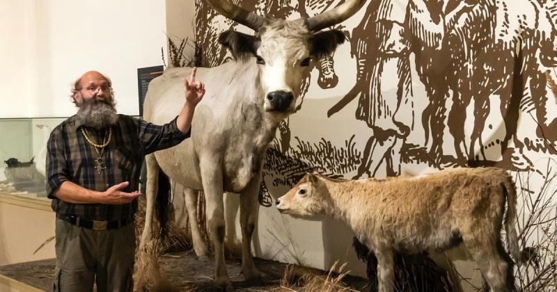 Természetesen! Íme egy egyedi változat a megadott témáról:

