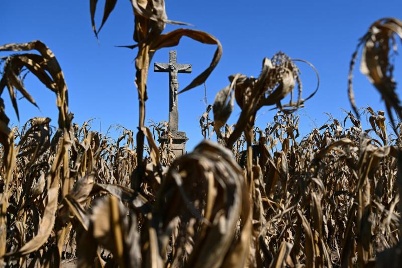 A mezőgazdaság idei aszálykára akár 600 milliárd forintot is elérhet.