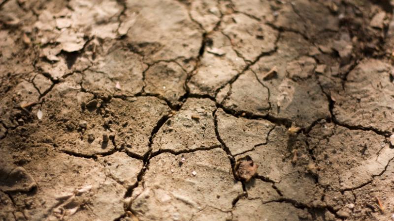 Szinte észrevétlenül, csendes árnyékban bontakozik ki a válság körülöttünk, mint egy lassan terjedő köd, amely fokozatosan elborítja mindennapjainkat - Agro Napló.