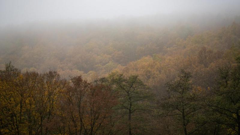 Fedezd fel, miért várható zord időjárás a hétvégén! | 24.hu