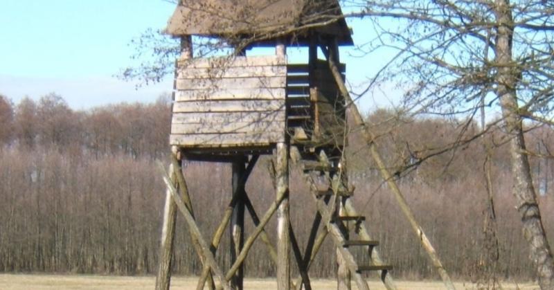 Tragikus esemény rázta meg a zalai erdők csendjét – egy vadászt holtan találtak a magaslesen. Az eset sokkolta a helyi közösséget, miközben a természet békéje és a vadászat iránti szenvedély hirtelen sötét fordulatot vett. Az erdők mélyén, ahol a fák közö